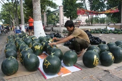 Đồng Tháp: Viết chữ thư pháp trên dưa hấu Tết thu hút khách