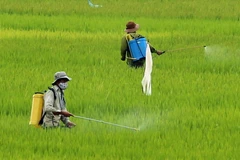 Ảnh minh họa. (Ảnh: Trần Lê Lâm/TTXVN)