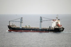 Tàu Panama chở hàng nghìn tấn hàng bốc cháy ở Vũng Tàu