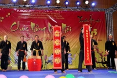 Cộng đồng người Việt ở Pháp đón Tết Ất Mùi tại Marseille, Lyon