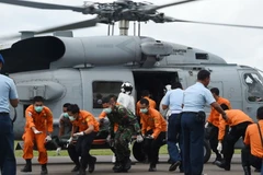Quan chức Indonesia: Đã vớt được gần 30 thi thể nạn nhân QZ8501 