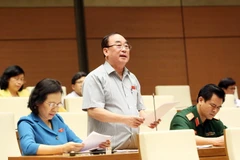 Đại biểu Quốc hội thành phố Hải Phòng Trần Ngọc Vinh phát biểu ý kiến. (Ảnh: Phạm Kiên/TTXVN)