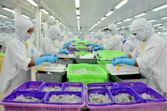 Dây chuyền chế biến sản phẩm tôm xuất khẩu tại nhà máy Sao Ta (Sóc Trăng). (Ảnh: An Hiếu/TTXVN)