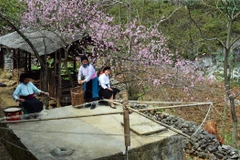 [Photo] Sắc Xuân về trên vùng cao nguyên đá Đồng Văn