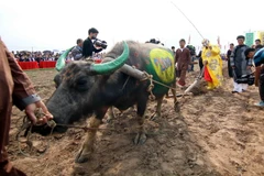 Tỉnh Hà Nam khai hội truyền thống Tịch điền Đọi Sơn 2015