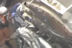 Nhật Bản: Xe đâm dồn toa trên cao tốc khiến xe con bẹp rúm