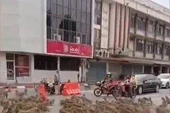 Hai đàn khỉ dàn trận đánh nhau giữa phố ở Thái Lan