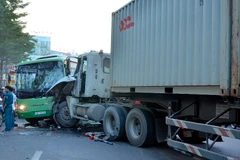 Ảnh minh họa. (Nguồn: Mạnh Linh/TTXVN)