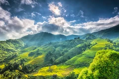 Sa Pa góp mặt trong danh sách 50 địa điểm đẹp nhất thế giới