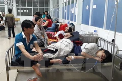 Ảnh chỉ có tính minh họa. (Ảnh: Đậu Tất Thành/TTXVN)