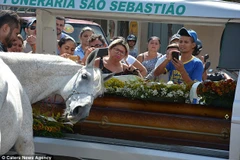 Sereno đau đớn, gục đầu vào quan tài của người chủ. (Nguồn: Caters News Agency)