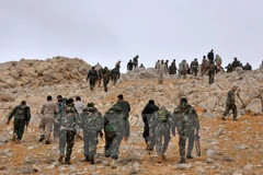 Ảnh minh họa. (Nguồn: AFP/TTXVN)