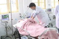 Bác sỹ Bệnh viện Đa khoa tỉnh Hà Nam khẩn trương cấp cứu nạn nhân bị tai nạn giao thông. (Ảnh: Nguyễn Chinh/TTXVN)