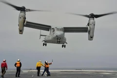 Máy bay MV-22 Osprey của quân đội Mỹ. (Nguồn: Military.com)