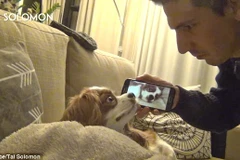 Chú chó tỏ vẻ sửng sốt khi Solomon bật đoạn video. (Nguồn: YouTube)