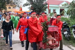 Hai ông lợn được rước quanh làng trước khi đưa về đình làm cỗ ngọc tế Thánh. (Ảnh: Diệp Trương/TTXVN)