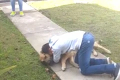 Màn tái ngộ rớt nước mắt của cậu bé và chó cưng sau 8 tháng mất tích