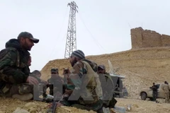 Lực lượng ủng hộ chính phủ Syria tại thành cổ Palmyra. (Nguồn: AFP/TTXVN)
