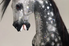 Các viên pha lê được đính lên con ngựa một cách tinh tế. (Nguồn: Daily Mail)