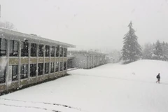 Bão tuyết làm xáo trộn cuộc sống của người dân. (Nguồn: cbc.ca)