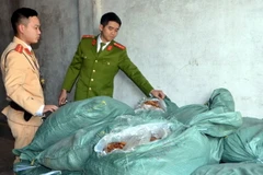 Lực lượng chức năng phát hiện và bắt giữ vụ vận chuyển 1,3 tấn lòng lợn không rõ nguồn gốc. (Ảnh: Nguyễn Hoàng/TTXVN)