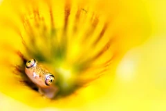 Sundukova cho biết, ở thời điểm chụp bức ảnh, trời đang mưa và khá tối. (Nguồn: Caters News Agency)