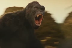 Phim quay tại Việt Nam "Kong: Skull Island" tung trailer chính thức
