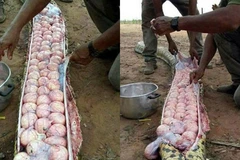 Cảnh tượng khiến nhiều người sợ hãi. (Nguồn: Daily Mail)