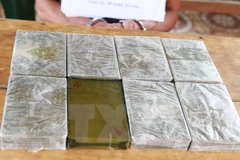 (Ảnh chỉ có tính minh họa: Lê Hữu Quyết/TTXVN)