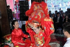 Chùm ảnh liên hoan nghi lễ Chầu Văn tại Phủ Dầy