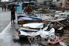 Hình ảnh không thể cầm lòng về bão Haiyan tàn phá Philippines