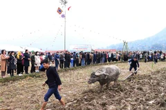 Lãnh đạo chính quyền cùng nhân dân làm nghi thức cày bừa mở đầu cho một năm sản xuất mưa thuận gió hòa, cây cối tốt tươi, người dân được khỏe mạnh. (Ảnh: Nguyễn Oanh/TTXVN)