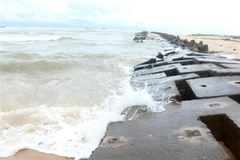 Ảnh minh họa. (Ảnh: Nguyên Lý/TTXVN)