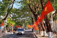 Cờ hoa rực rỡ trên đường phố Cà Mau. (Ảnh: Kim Há/TTXVN)