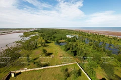 Khu du lịch Cồn Vành: Nơi sông Hồng hòa mình vào biển Đông