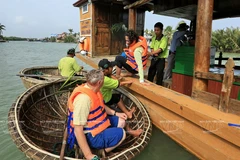 [Photo] Quảng Nam: Khám phá ốc đảo dừa nước Cẩm Thanh 
