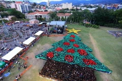 Honduras: Hơn 2.900 người xếp hình cây thông lớn nhất thế giới