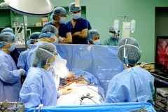 Ảnh chỉ có tính minh họa. (Ảnh: Dương Ngọc/TTXVN)