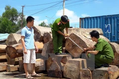 Ảnh minh họa. (Ảnh: Ngọc Minh/ TTXVN)