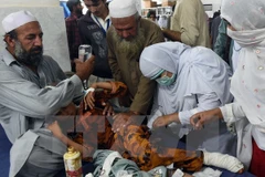 Chữa trị cho một nạn nhân bị thương trong trận động đất tại bệnh viện ở Peshawar, Pakistan. (Nguồn: AFP/TTXVN)