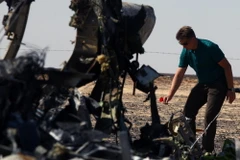 Bộ trưởng Giao thông Nga Maxim Sokolov điều tra tại hiện trường máy bay rơi ở Hassana, thành phố Arish (bắc Ai Cập) ngày 1/11. (Nguồn: THX/TTXVN) 