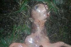 Sinh vật lạ có hình thù kỳ dị. (Nguồn: Facebook)