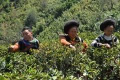 Ảnh minh họa. (Nguồn: TTXVN)