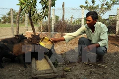 (Ảnh minh họa: Lê Huy Hải/TTXVN)