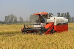 Nhiều giải pháp “cởi trói” để tăng tín dụng nông nghiệp nông thôn