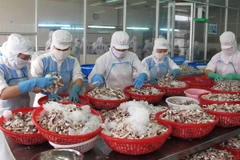 Chỉ số PMI tăng cao kỷ lục do sản lượng đơn hàng mới tăng mạnh 