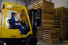 Ảnh minh họa. (Nguồn: TTXVN)