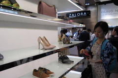 Ảnh minh họa. (Ảnh: Hoàng Hải/Vietnam+)