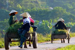 Hình chỉ mang tính minh họa. (Nguồn: TTXVN)