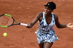 Tay vợt Venus Williams. (Nguồn: AFP)